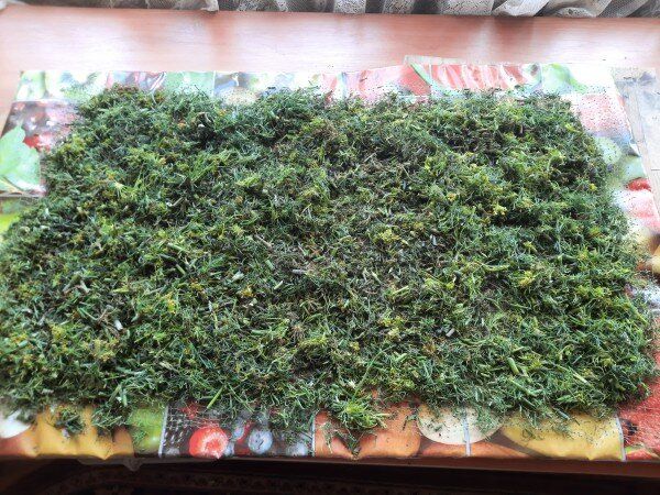 ��� ������ ������� ������ � 2026 ����: ������� ��������� ��������� ���������