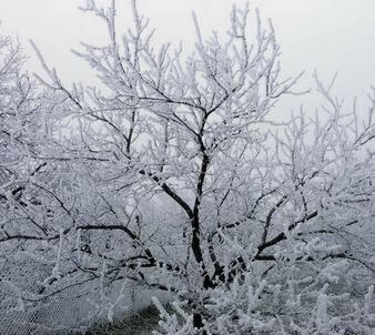 ��������� ��������� ����: ����� ������ �� ������ ������� �� ������� ����