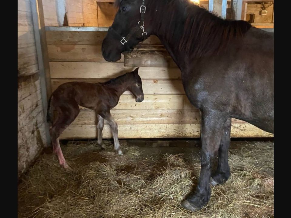 ������ ��������� �� 7 ��� ������� �� ������ ����� � ��������