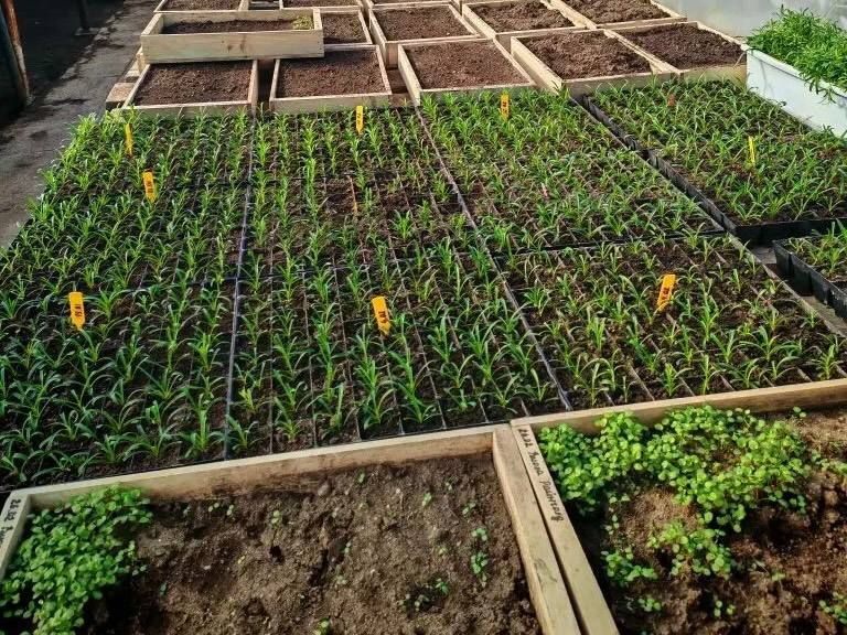 ������ ����������: ����������� ��������� ������� ��������� � ���� ���� ������ ������ � �������� �� ��� ������ ������