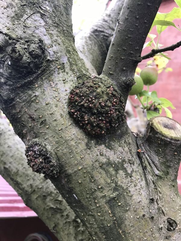 ������ ��� � �������� �� ������� �� �������?