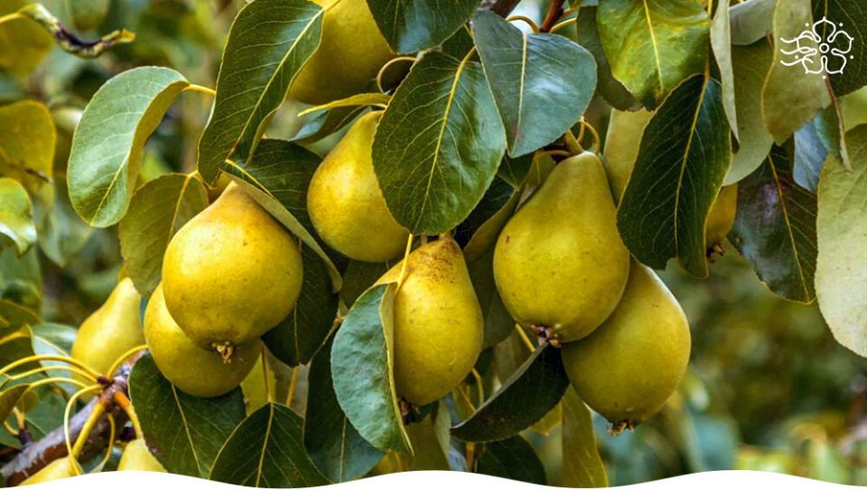 ������ � ������� �����: ������ ����� ��� ������ ����