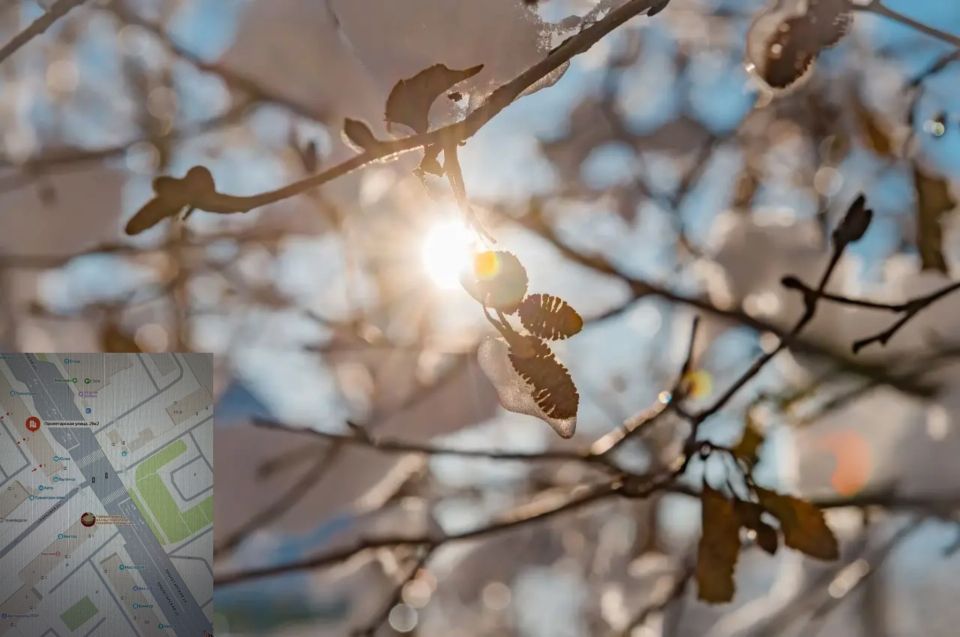 ������� ��������� ���� ��������, 2 ������