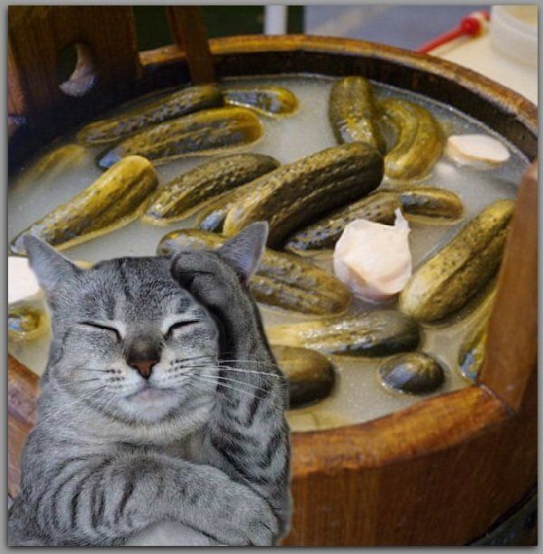 ������ �� ������ � ���������: ��� ������ ������� ���� � �����