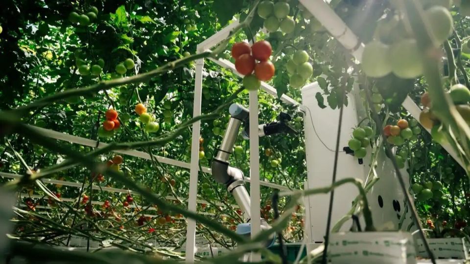 ����� ����� ��� ����� ������� Harvester ������ �� ����� ����������