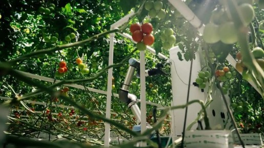 ����� ����� ��� ����� ������� Harvester ������ �� ����� ����������