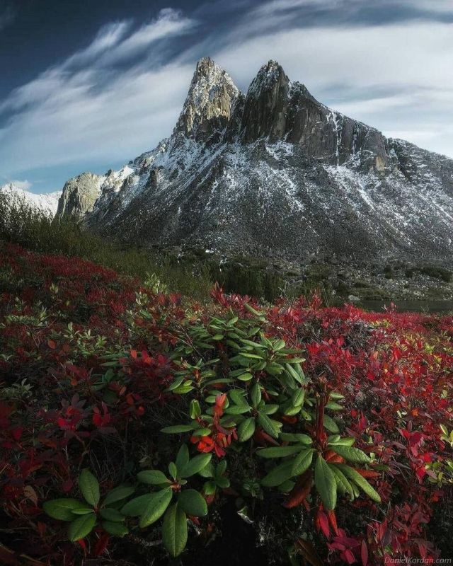 ����� ����� �������. ����������� �������