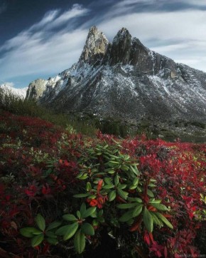 ����� ����� �������. ����������� �������