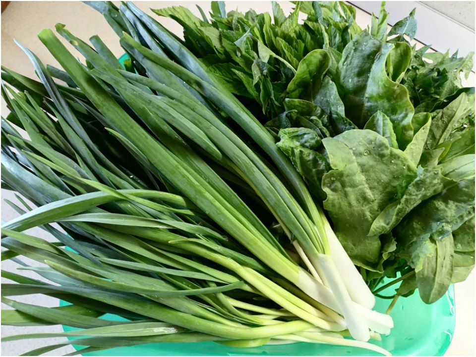 ������� �������� ������: ����� ��� ������� ���������� ������ ������