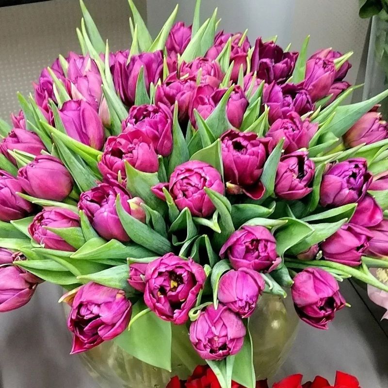 ������ �� �����: ��� ����������� ��� ��������� ������