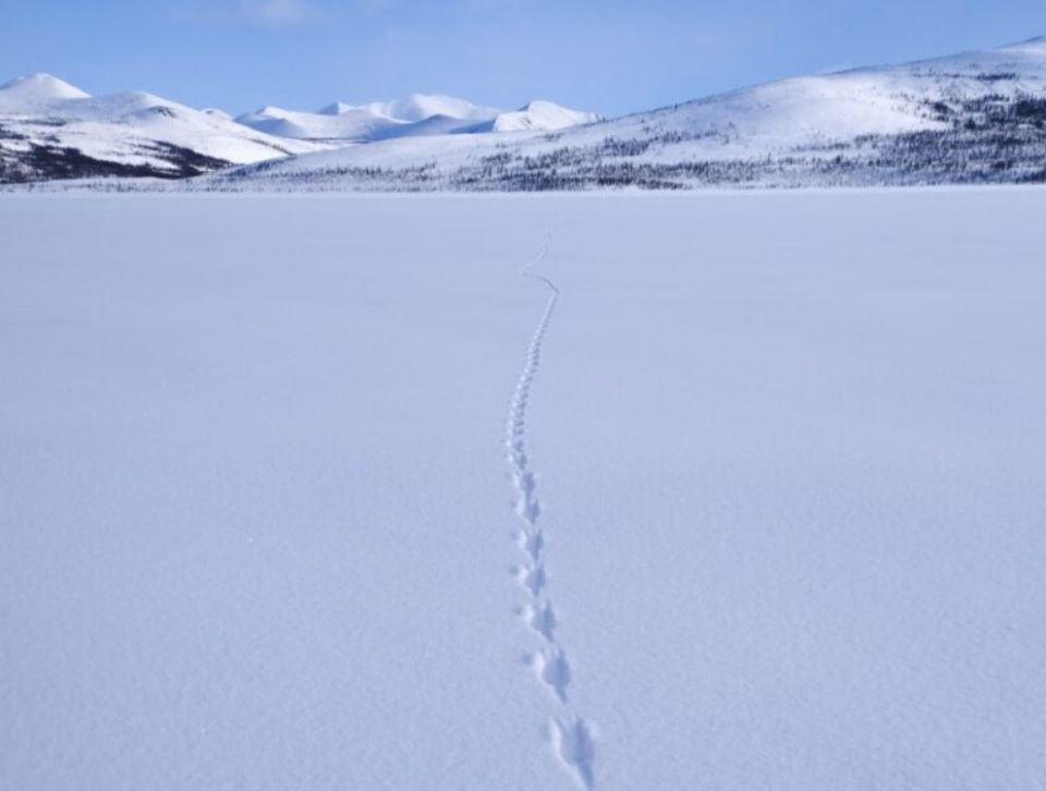 ��������� �������� � ���� ������� � ����� ����� ������� � ����������� �������