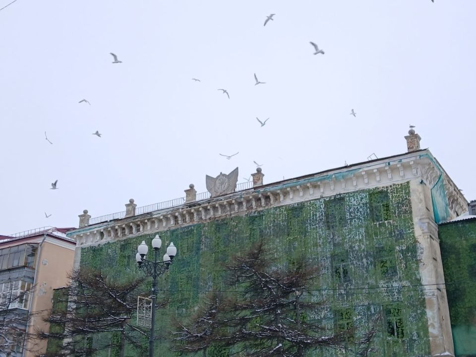 � �������� -2