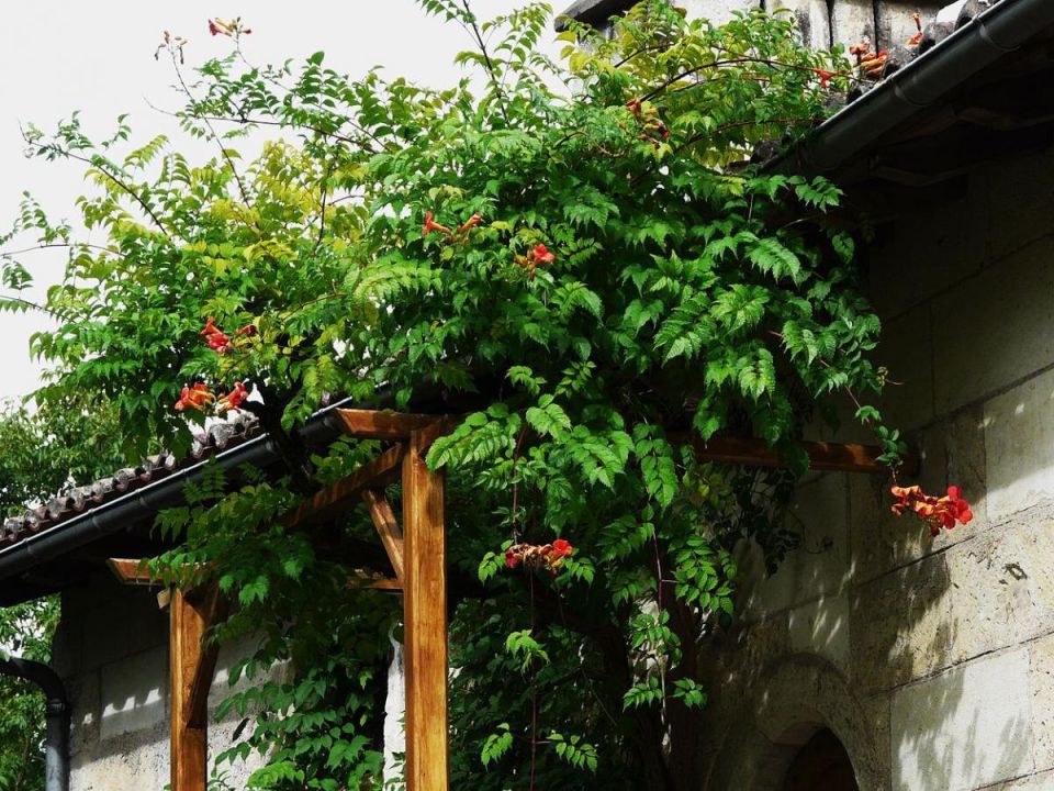 �������� ����� � ���� �������: 5 ������� ���� ��� �������