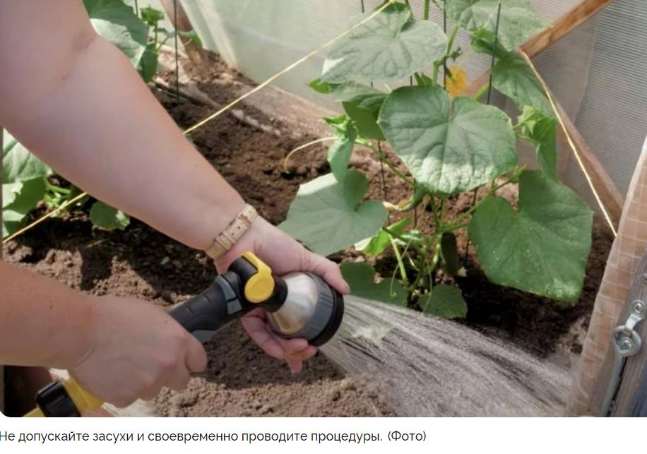 ��� ��������� �������� ������ � �������: ������ ��� ������� ����� �����