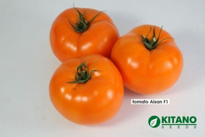 ����� �����: ��������� ����� ��� ������ �������