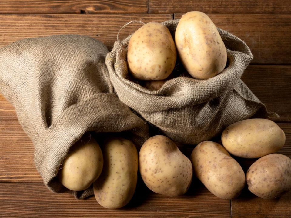 ��� ��������� ���������-������: ������� �������� �������