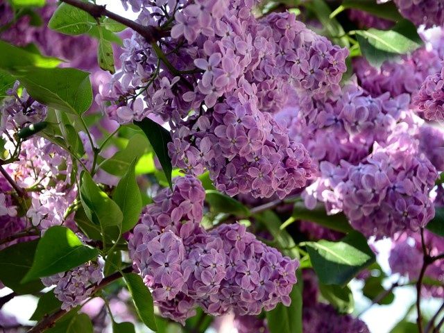 �������� �����: 5 ����������� ��� ������ ���������