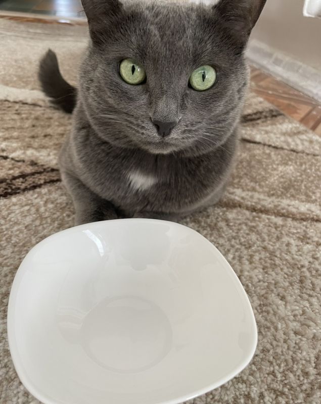 ���� ������� ����� � ������������� ������: ��������� ��� ���?