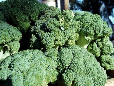 ��� ������ �� ������ ������ �� ������ ��������?