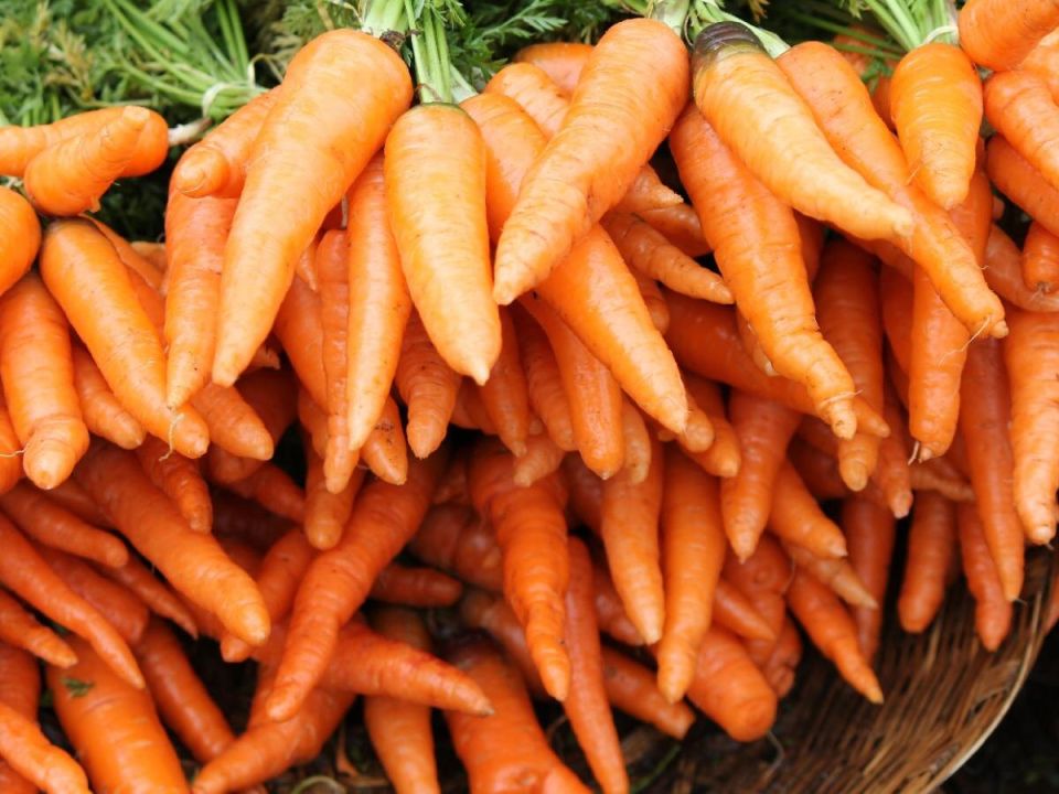 ��� ��������� ��������� �������: ������� � ������ ��� ������ �������