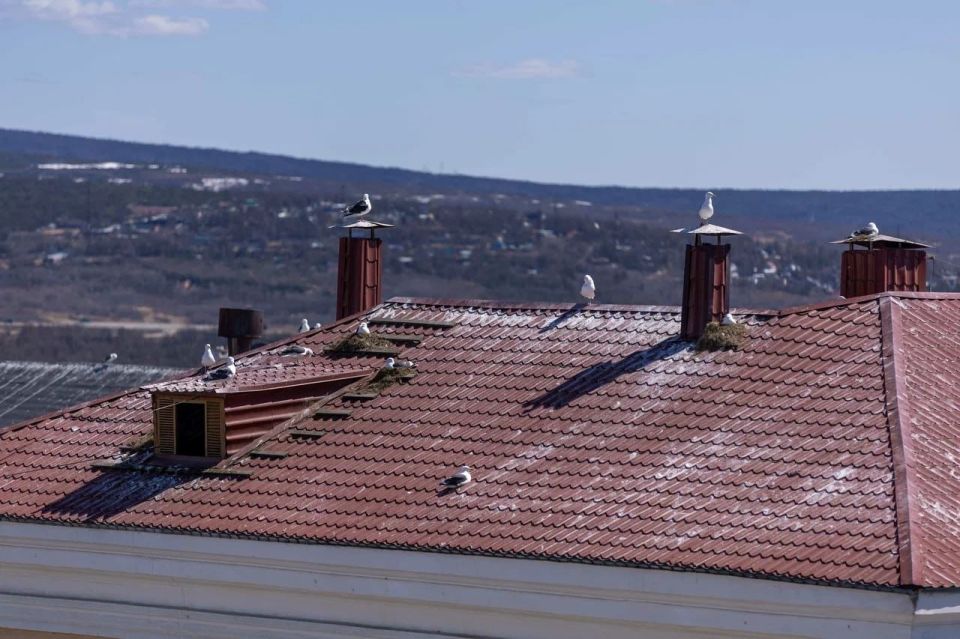 ������ �������� ���������� �������� ������������ ����������� ���� � �������� ���