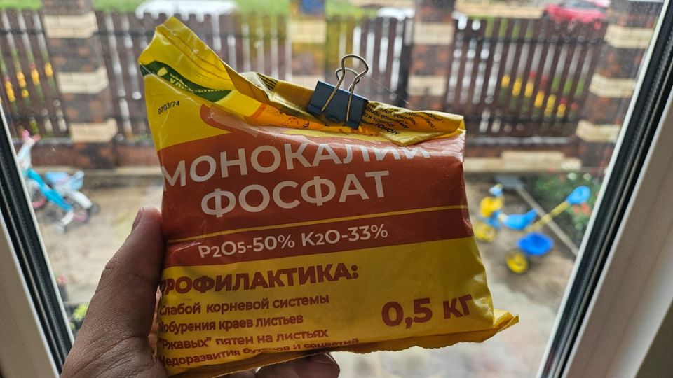 ��� ��������������� �������� ���������: �������� ������ � ������� ��������� �������