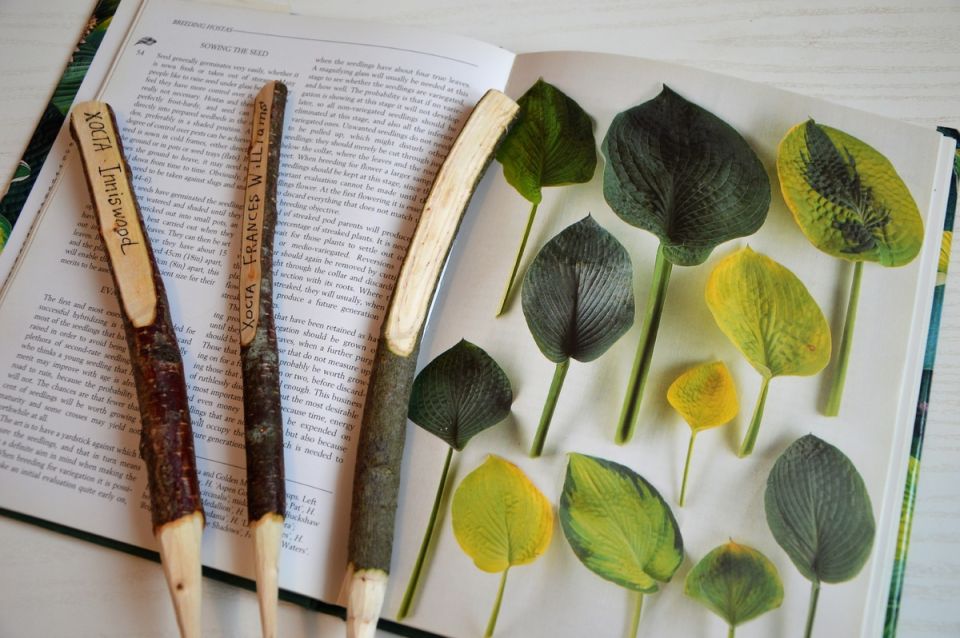 ������� ������� �������: ��� ���������� ����� ����� ��������� ����� ��������