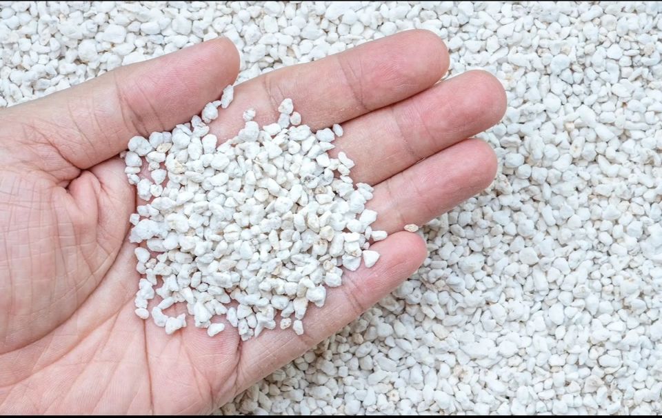 ���� ������������� ���������: ������ � ���������� � ������ � ����� ���������