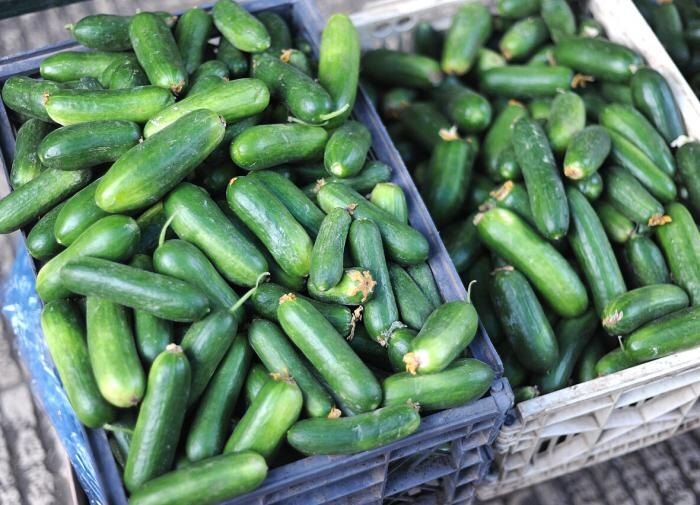 ��� ��������� ������������� ������ � ����: ������ ��� ������� ������