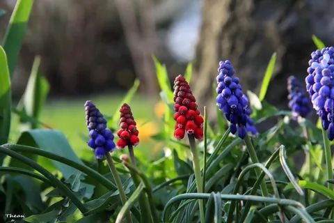 ������� �������: ��� ������� �������� �������� � ����� ����