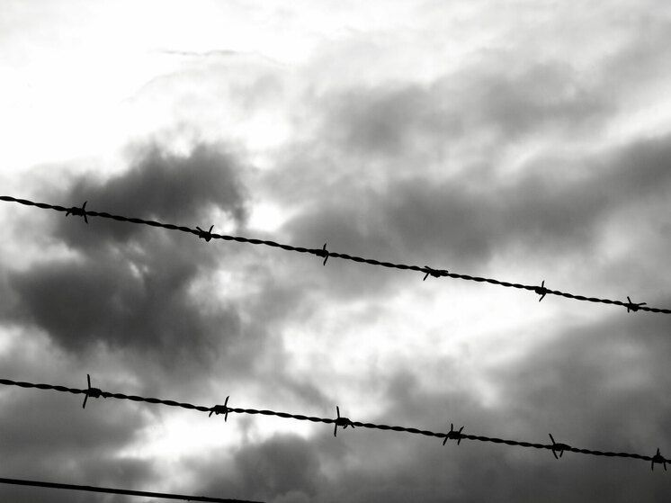 ��� ������� ������ ���� � �������� �� �������� ���������� �����������