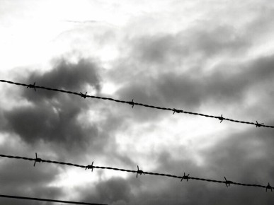 ��� ������� ������ ���� � �������� �� �������� ���������� �����������