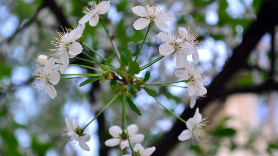 ��� ������������� ����� ������: ���������� ���� � ������