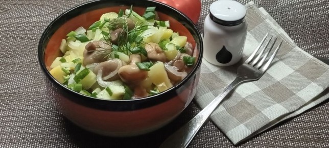 ��������������� ����: ����� � ���������� � ������������� �������