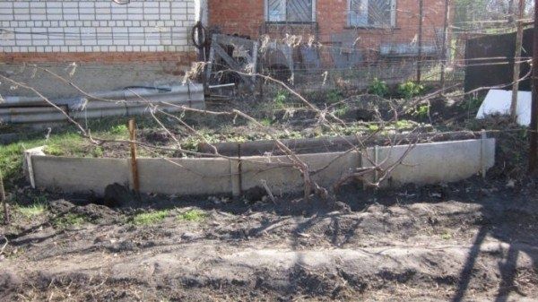 ��� ��������� ��������� �������� ������