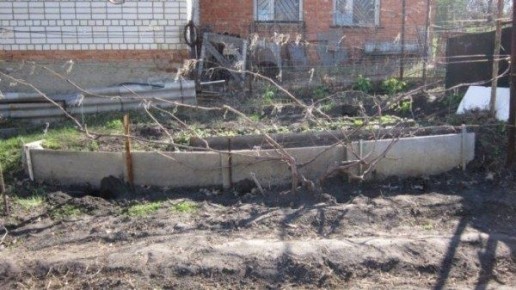 ��� ��������� ��������� �������� ������