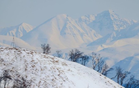 � �����������, 12 ������, � ����������� ������� ��������������� �������