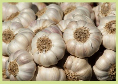 ��� ��������� �������� �������: ������� ����������� ��������