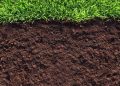 Готовим почву к весеннему сезону: выбираем лучший раскислитель