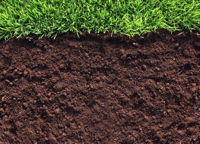 ������� ����� � ��������� ������: �������� ������ ������������