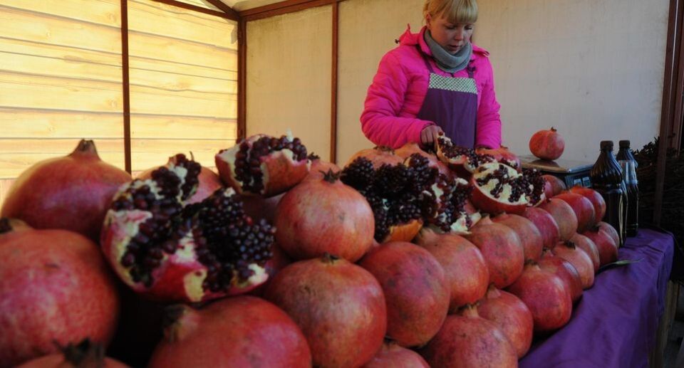 ������: ����� �����������, ������� ��������� ��������