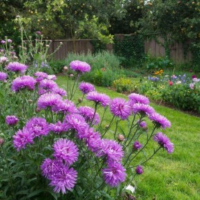 ������� ��������� ������ ����: ��� �������� �������� �� �����