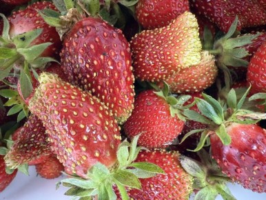 ��� ������� ������ ����� �������� ��� ������ ����