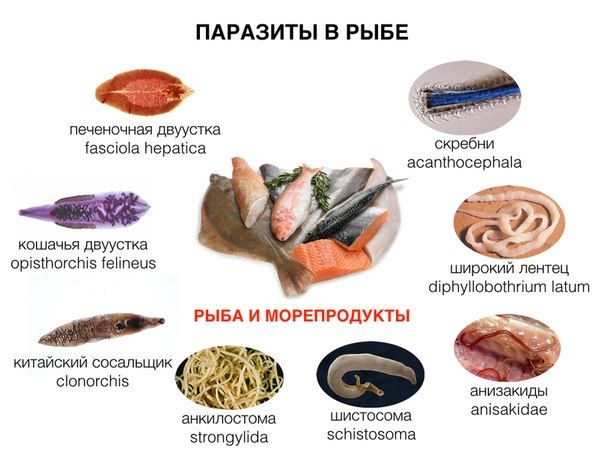 ��� ���������� � ���������� � ����: ���������� ������ ��� ��������� �������������