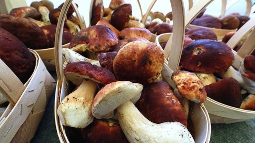 ��� ��������� ������ � ���� ����� ������ �� ����: ������ ��������������