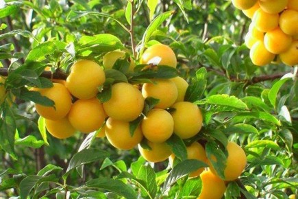 ����� ����: ��� ��������� �������� � ��������� ���� � ����� ����