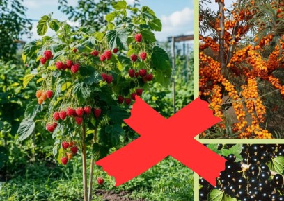 ���� � ����������: ��� �� ��������� �� ������ ��������� ��������