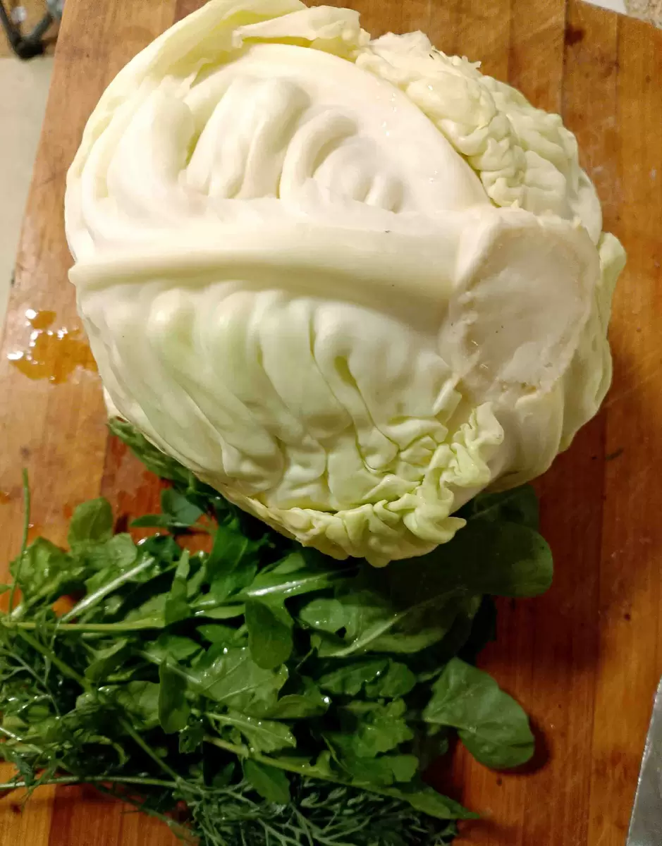 Капустный салат как освежающая нотка в летнем меню