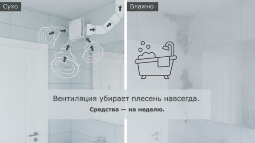 Как навсегда избавиться от плесени в ванной: простые советы и секреты