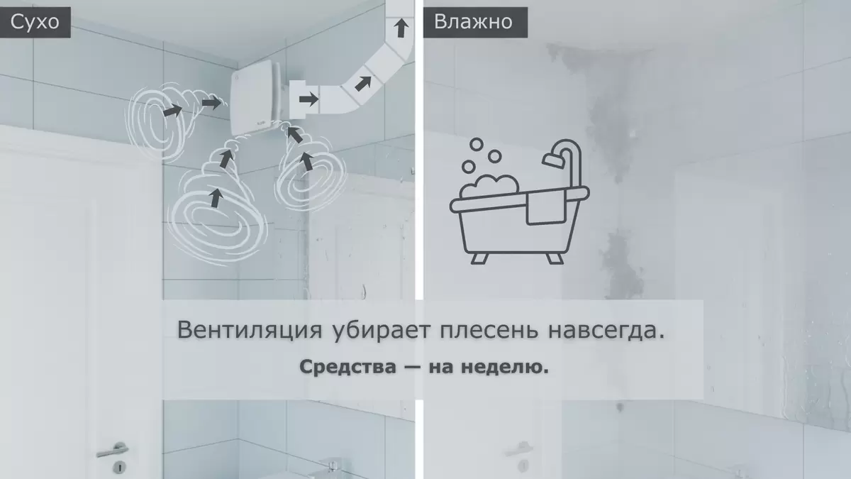 Как навсегда избавиться от плесени в ванной: простые советы и секреты